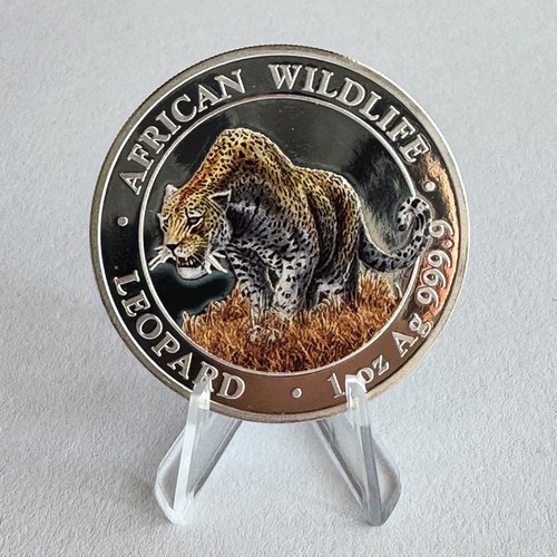 African wildlife 2023 - african,