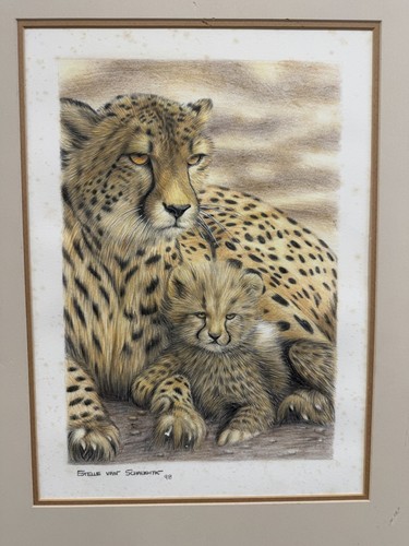 Zeichnung gepard mit jungem - gepard,