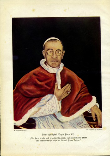 Seine heiligkeit papst pius - seine,